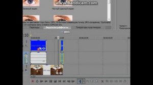 Как сделать футаж в видео?⌡Sony Vegas Pro 13⌠ ●Аня Аватария●