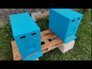 Улья Лысонь Дадан на 6 рамок