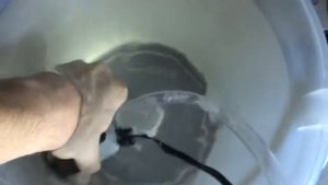 Подмена воды в аквариуме.Способ долива воды.