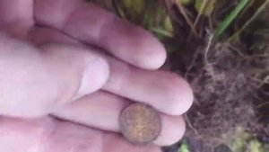 Нашел 5 копеек 1805 года .Александр первый