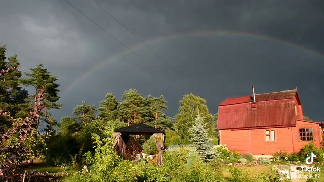 Смотреть видео онлайн