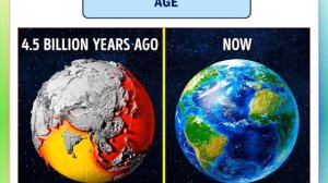 The Earth. Our planet. Земля. Наша планета. (УМК Spotlight 6)