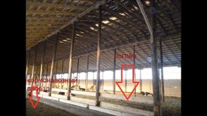 Содержание коров на глубокой несменяемой подстилке
