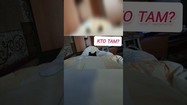 Кто там?Прикол ?#alecsniks