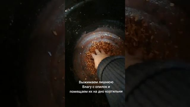 Копчение мойвы в домашних условиях