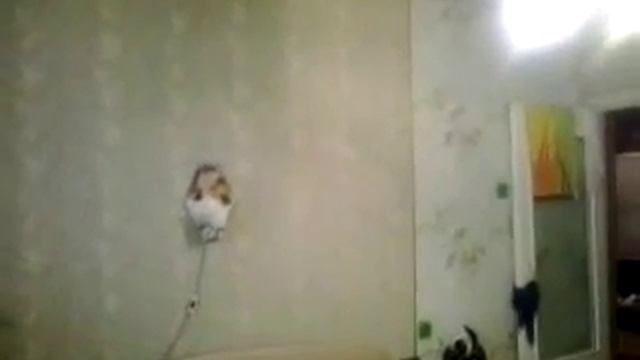 Ремонт спальни - оформление изголовья кровати