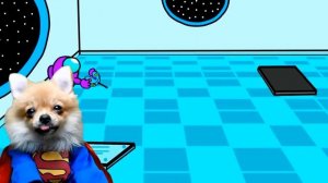 МАКС cъел БЕРЕМЕННЫХ ПОП ИТ ЗОМБИ-ПРЕДАТЕЛЕЙ AMONG US! POP IT АМОНГ АС! СОБАКА ИГРАЕТ Валеришка Мак