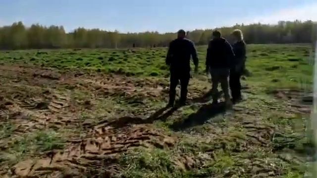 Тигарбо АД 4D дисковая Борона смотреть онлайн