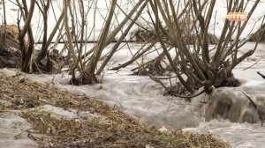 Первоуральск: весна в городе - 2