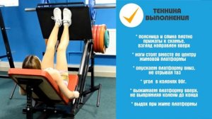 ЖИМ Платформы ногами (Узкая постановка) ➨ НОГИ + ЯГОДИЦЫ