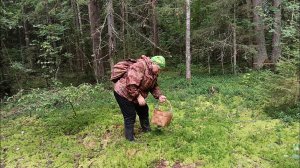 "Жизнь на пенсии".. Ходили с соседкой в лес.