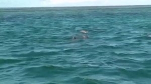 Кения - Города мира