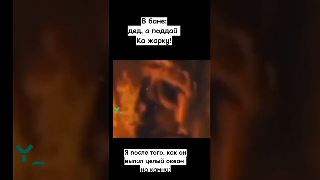 жиза