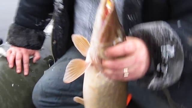 волхов троллинг смотреть онлайн