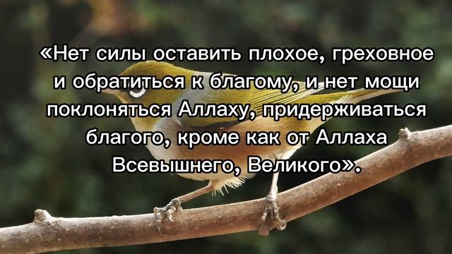 «Ля хавля ва ля куввата илля билляхи ль-'аллиййи ль-'азым» - дуа ( просьба , обращение к Аллаху) смотреть онлайн