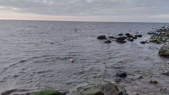 Учу ходить по воде недорого😎 Урок 1: фокус с камнем смотреть онлайн