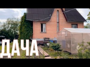Дача 17-18 июня 2023