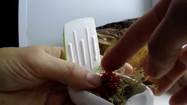 Как сохранить мотыля в домашних условиях, видео rybachil.ru смотреть онлайн