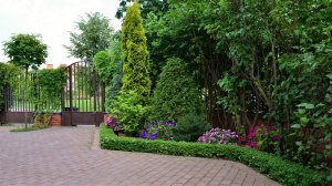 ?Оригинальные идеи для обустройства садового участка / Ideas for a beautiful garden plot / A - Vide