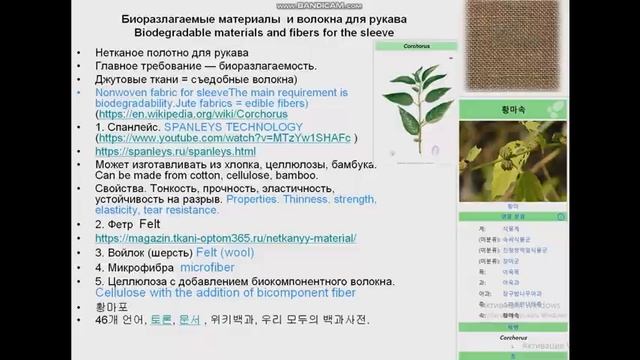 ресторанное оборудование и пищевые отходы