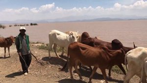 ЭФИОПИЯ | Путешествие на РОДИНУ ЧЕЛОВЕЧЕСТВА | АДДИС-АБЕБА | Племя КОНСО