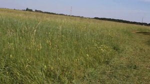 Стрелецкая Степь