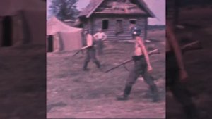 Немцы арестовали гусей. Восточный фронт. 1941