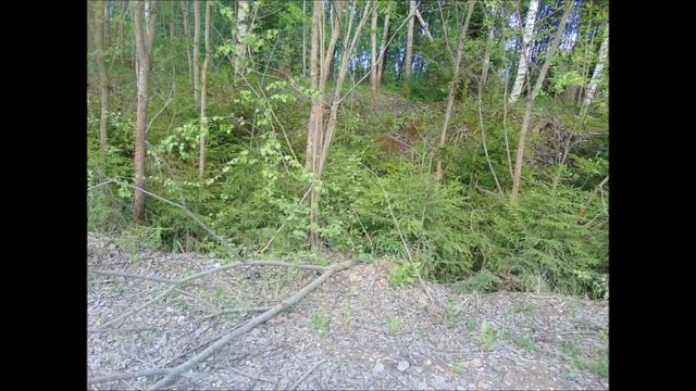 65 красивых фотографий ( часть 1 ) смотреть онлайн