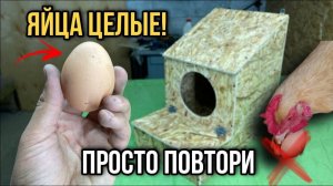 Гнездо для кур с яйцесборником