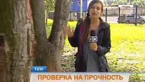 Пермские ученые проверяют деревья на устойчивость к ураганам