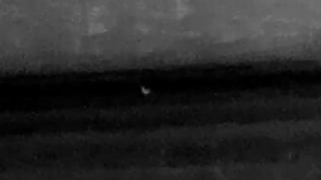 GUIDE TRACK IR PRO 35 - sarna 500m смотреть онлайн