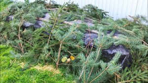 Бурт Калифорнийского Червя Готов на Зимовку