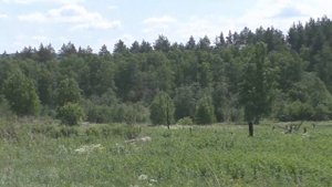 Белорецкий район  Ж д  станция Уралтау и брошенная деревня Карагайлы  Южный Урал  10 06 2023