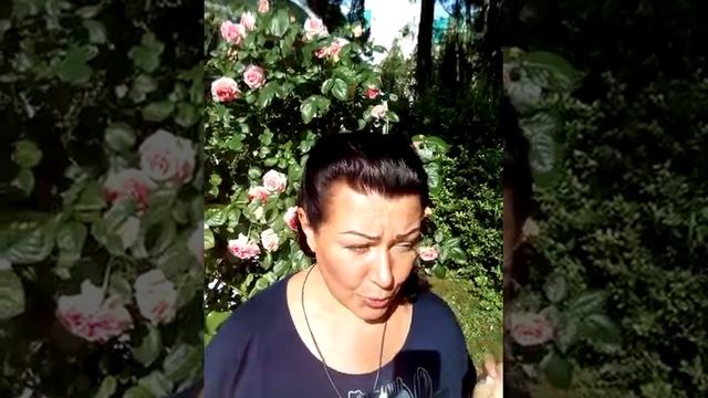КАРМИЧЕСКИЕ ОТНОШЕНИЯ - РАСЧЕТ СОВМЕСТИМОСТИ
