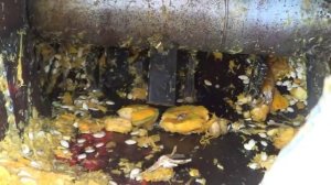 уборка тыквы самодельным тыквоуборочным комбайном