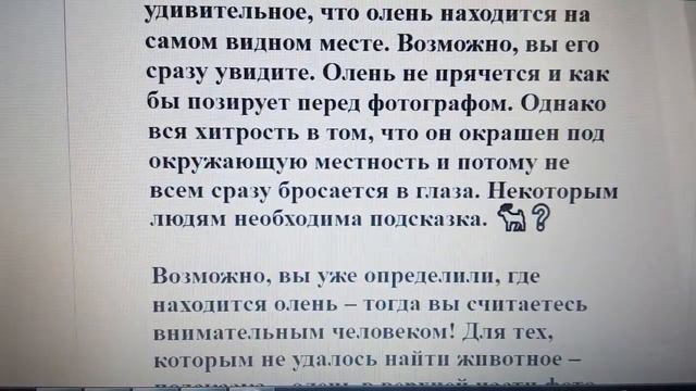 Тест, улучшающий память и внимательность, особенно у пожилых людей: сможете за 30 сек найти оленя?