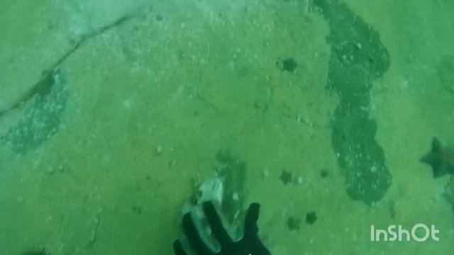 Затонувший корабль! Остров Клыкова