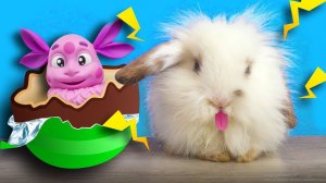 КРОЛИК НОЛИК открывает ЯЙЦА СЮРПРИЗ. Собираем коллекцию игрушек Лунтик
