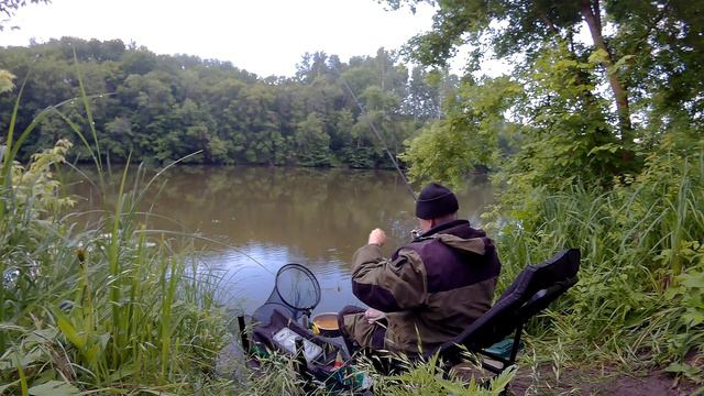 Фидер в июне. Сюрприз и необычный гость! смотреть онлайн