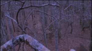 Йети, Гигантопитек,снежный человек ,голос снежного человека Gigantopithecus, Bigfoot, Bigfoot Voice