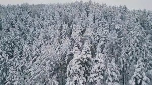 Содержание дикого ежа. Ёж пробует разную еду. Как взять ежа в руку. Зубы ежа // Авантюрист