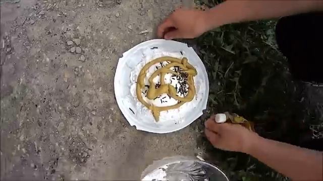 На что готов мужик ради 300 руб \ Торт с горчицей \ Селёдка смотреть онлайн