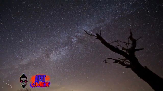 10 МИНУТ СМЕХА | ЛУЧШИЕ ПРИКОЛЫ ОКТЯБРЬ 2020 | INSTAGRAM TIK TOK YOUTUBE | ржака до слез угар №6 смотреть онлайн