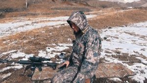 Карабин Norinco CQ-A 223 Rem на кучность