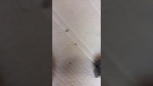 Плохая зарядка АКБ и ремонт генератора ВАЗ 2106(часть 1)