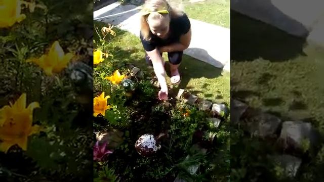 У бабушки на даче смотреть онлайн