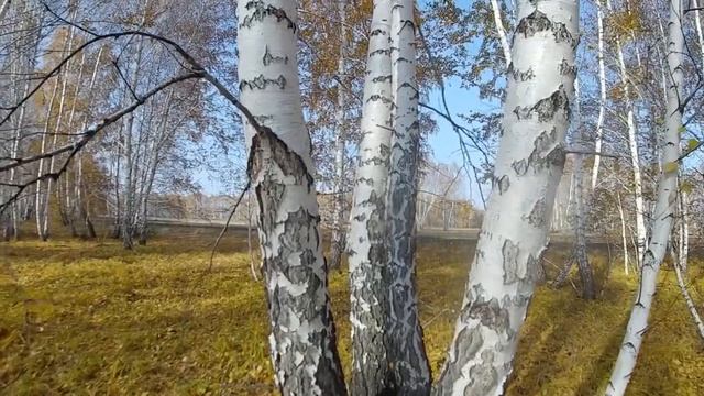 Куланцы аул в Марьяновском районе Омской области_Kulantsy is aul in the Omsk region