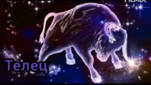 Как выглядят знаки задиака.