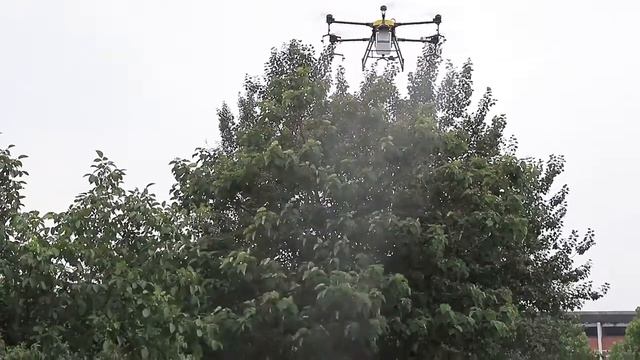 Agricultural sprayer drone spraying the farm with the remote controller automatically