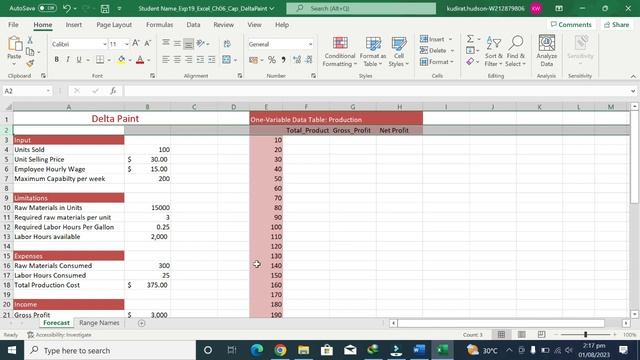 Exp19 Excel Ch06 CapAssessment Delta Paint|MYITLabHelper| Exp19_Excel_Ch06_CapAssessment_Delta_Pain
